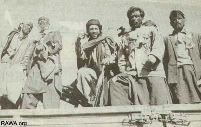 فضاحت طالبان