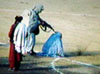 public execution